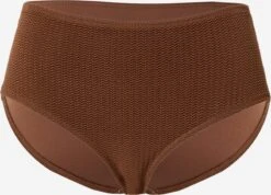 Seafolly Bikini-trusser Bikinitrusse Sea Dive Kvinder Brun